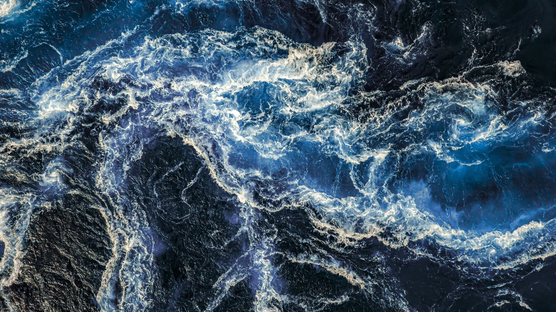 Operador logístico revisando mercancía